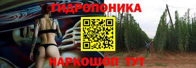 индика Конаково