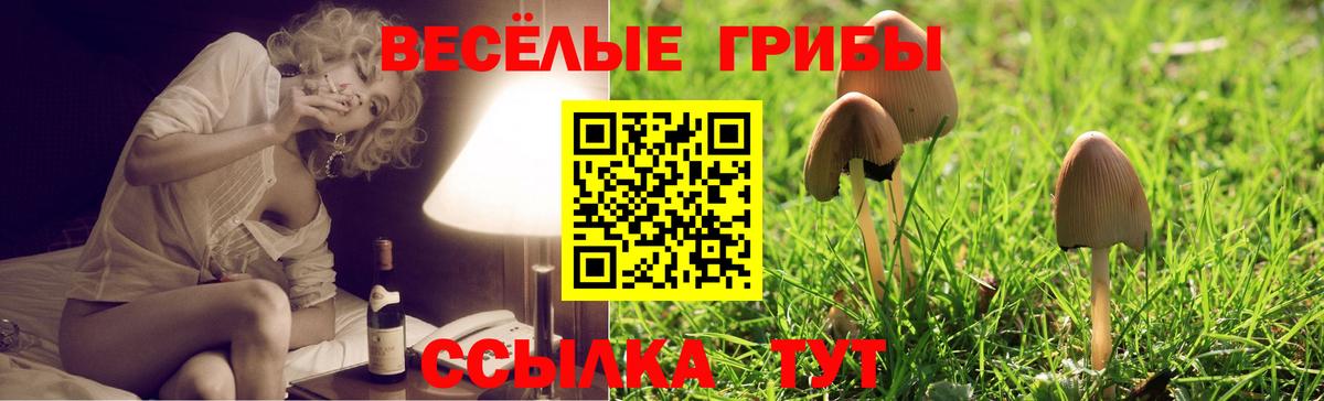 Галлюциногенные грибы MAGIC MUSHROOMS  Псилоцибиновые грибы мухоморы  Вход с VPN  Ишимбай 